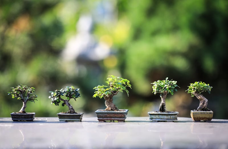 Green Artistry